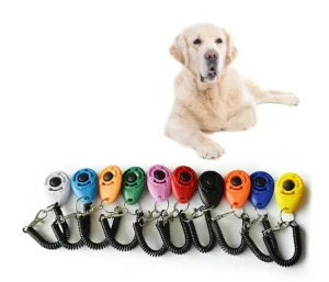 Clicker De Dressage pour chien