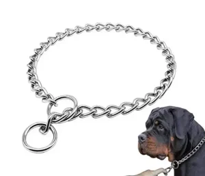 collier étrangleur pour chien