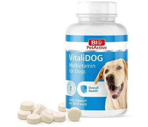 Multivitamine pour chien - Bio PetActive