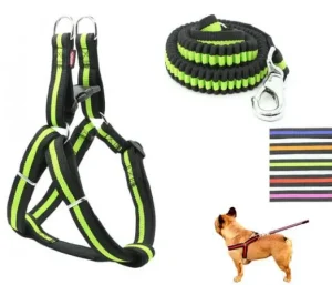 harnais avec laisse pour chiens