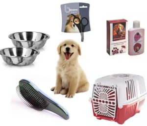 Pack essentiel pour nouveau chien