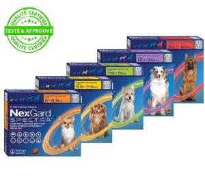 Nexgard spectra pour chiens