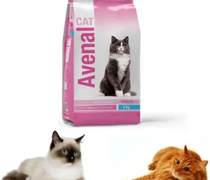 Croquette Avenal pour chat 🐈😻