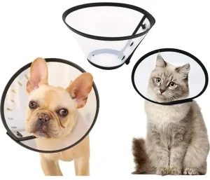 Collerette Carcan pour chat et chien