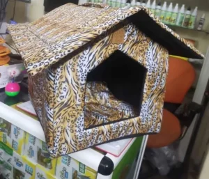 Maison chat