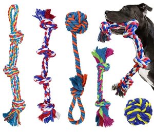 corde jouet pour chien