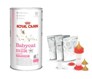 Lait maternisé Royal Canin Babycat pour chaton