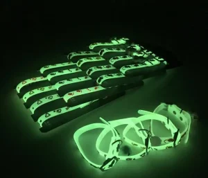 Collier lumineux pour chat et chiot