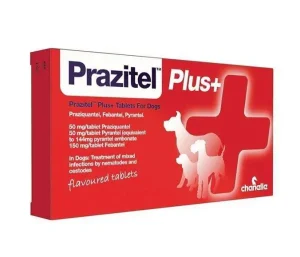 prazitel plus vermifuge antiparasitaire pour chien