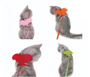 harnais pour chat
