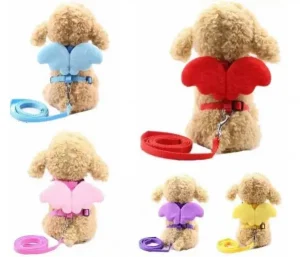 harnais chats et chiots