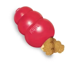 Kong pour chien