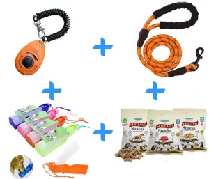 pack balade et dressage pour chien