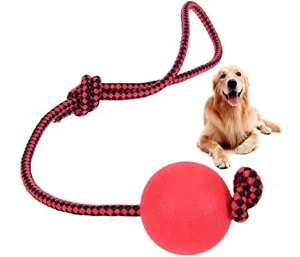 balle de jeu et entrainement pour chien