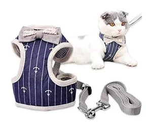 harnais avec laisse pour chat