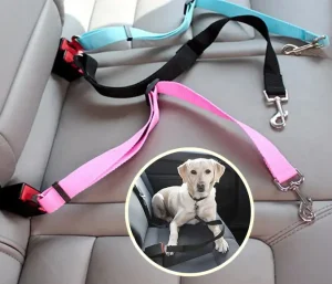 Ceinture de sécurité voiture pour chien et chat