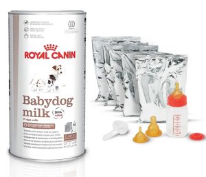 Lait maternisé Royal Canin Babydog pour chiot
