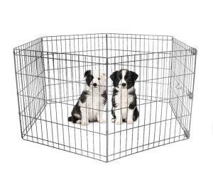 parc enclos pour chien