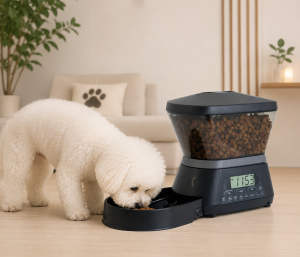 distributeur automatique de croquette pour chat et chien