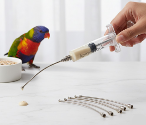 seringue d’Élevage à la Main (EAM) pour oiseaux et perroquets