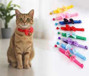 collier papillon pour chat