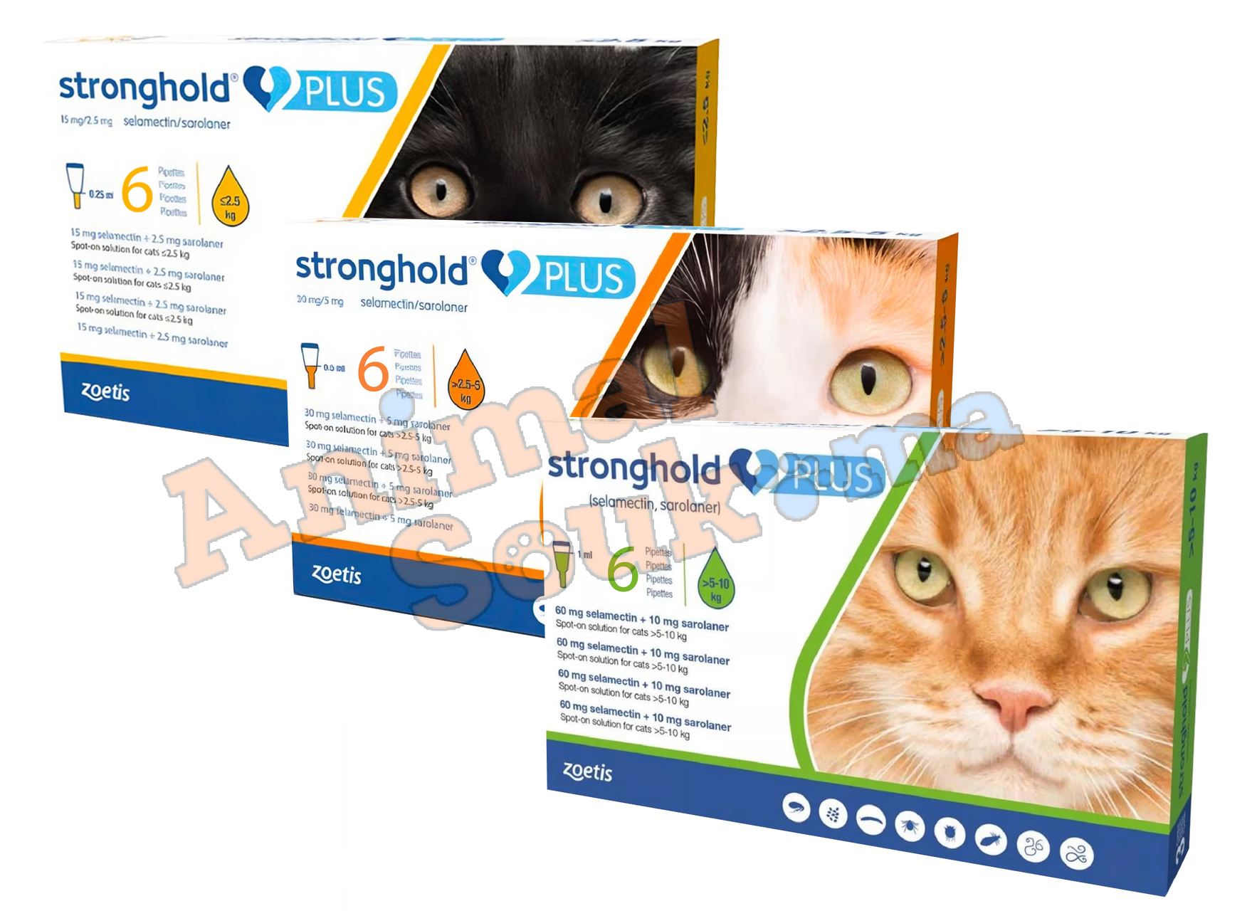 stronghold plus Stronghold PLUS pour les chats