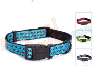 Collier pour chien small medium large