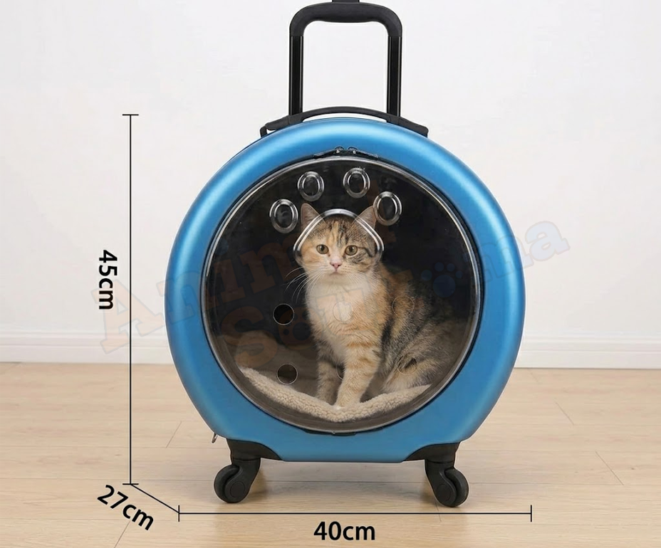 valise de transport pour chat valise de transport pour chat