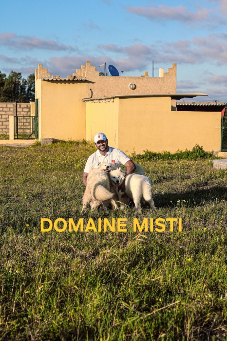 Pension / Hôtel pour chiens PRO