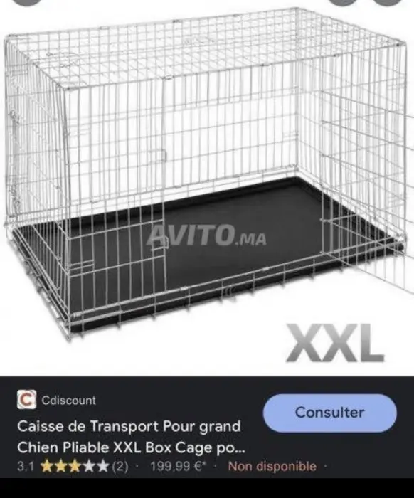 Cage xxl pour chiens prix Maroc