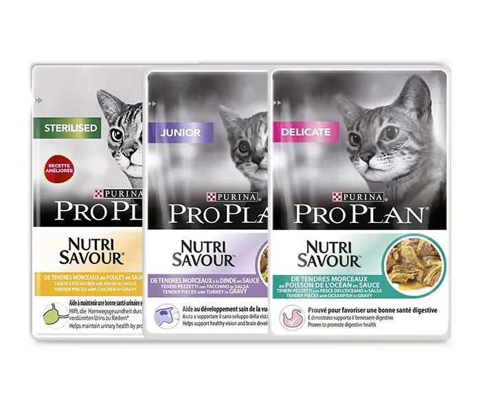 PURINA PRO PLAN Pochons pâté pour chat et chaton prix Maroc