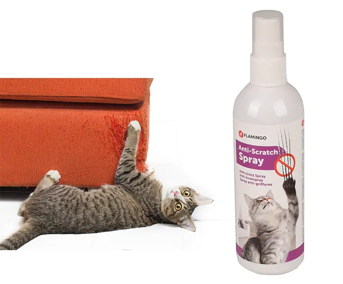 Spray anti griffures pour chat Flamingo prix Maroc