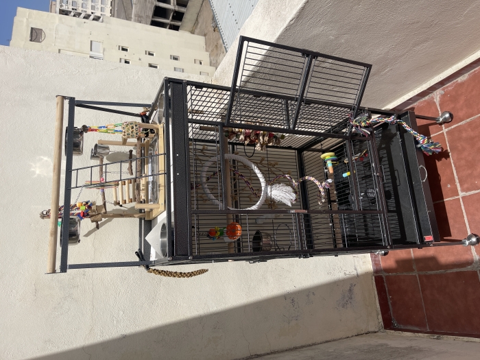 Grande cage perroquet