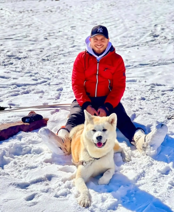 AKITA INU ROUX AVEC PEDIGREE