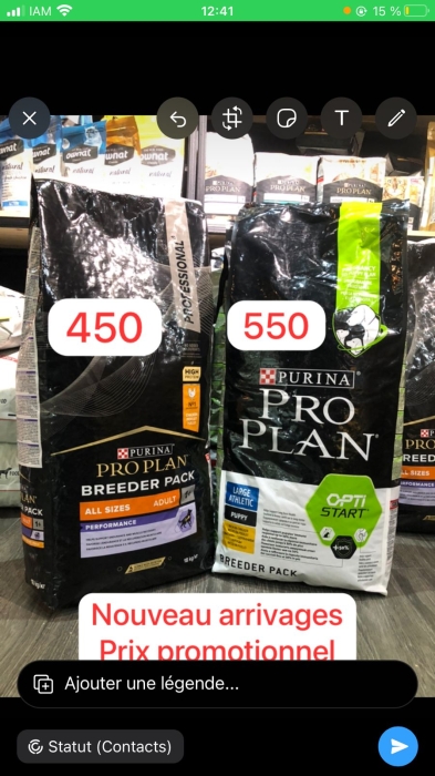 PROPLAN LARGE ATHLETIQUE PUPPY ALL SIZE ADULT PERF 18KG prix Maroc