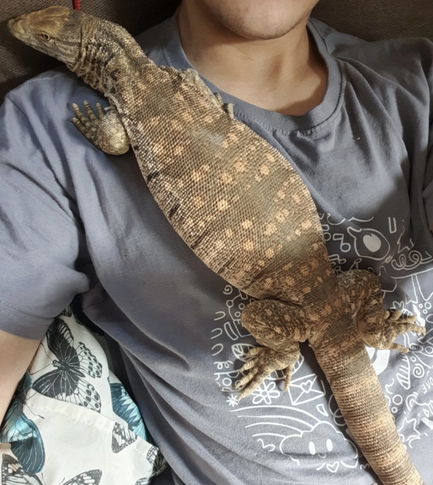 Varan