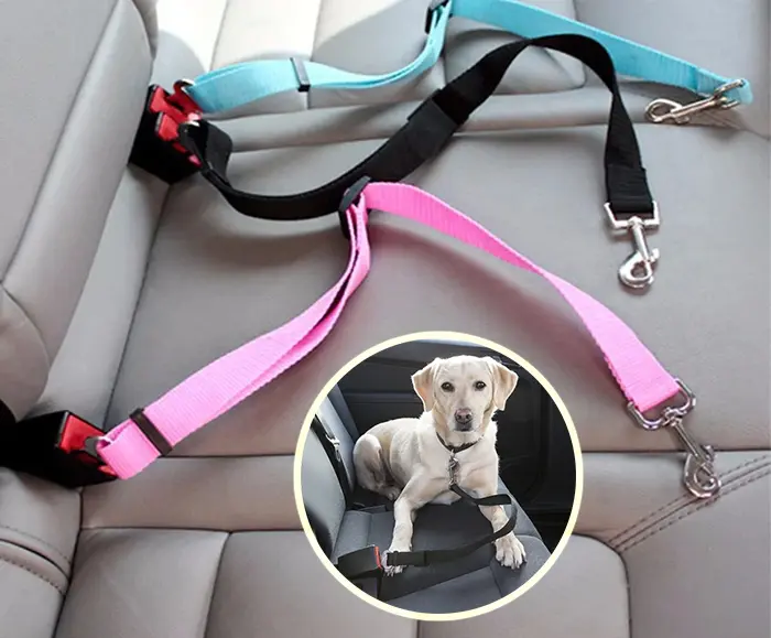 Ceinture de sécurité voiture pour chien et chat prix Maroc