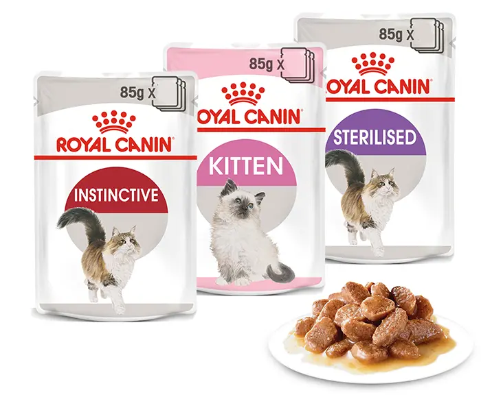 Conserve pâté en sauce Chaton - Royal Canin