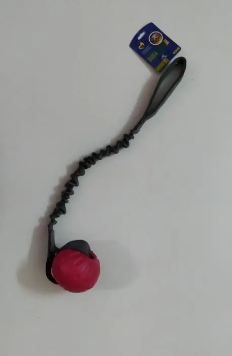Ball Dréssage