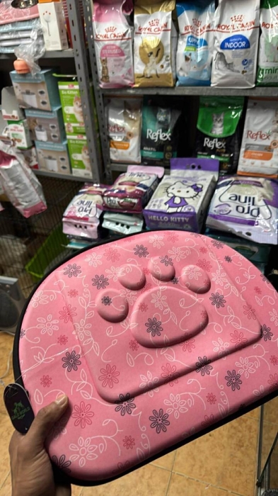 Bichon Havanais et ses accessoires