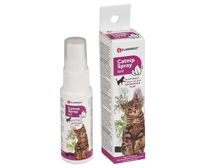 Spray catnip herbe à chat Flamingo prix Maroc