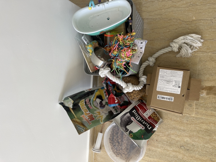 Grande cage perroquet