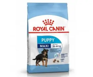 Croquettes pour chiot Maxi Puppy Royal Canin