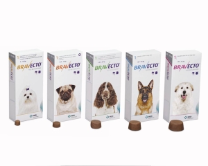 Bravecto antiparasitaire pour chiens