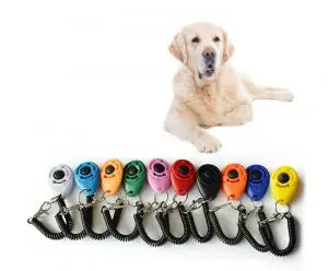 Clicker De Dressage pour chien