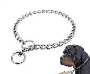 collier étrangleur pour chien