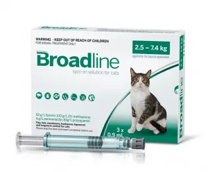 Antiparasitaire Broadline pour chat