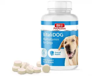 Multivitamine pour chien - Bio PetActive
