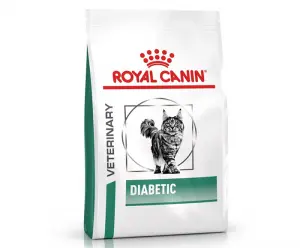 Croquettes Royal Canin pour chat diabétique