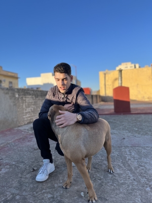 Promeneur de chien